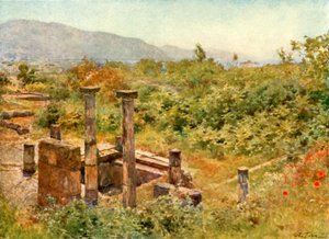 Pohled z Pompejí od Alberto Pisa