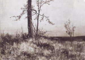 Krajina od Albion Harris Bicknell