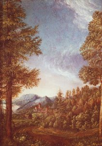 Dunajská krajina s hradem Worth, kolem 1522-25 (pergamen na buku) od Albrecht Altdorfer