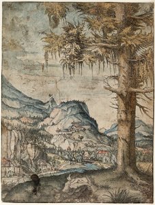 Němčina: Velký smrk Velký smrk od Albrecht Altdorfer