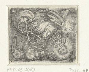 Granátové jablko a listová réva od Albrecht Altdorfer