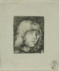 Hlava mladého muže od Albrecht Altdorfer