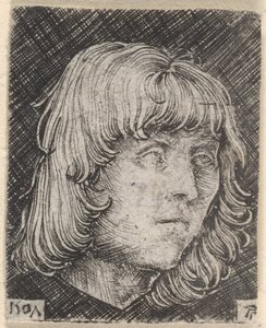 Hlava mladého muže od Albrecht Altdorfer