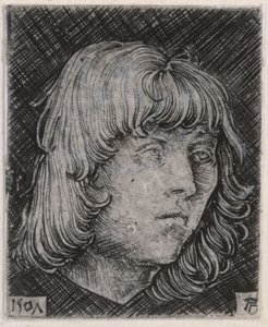 Hlava mladého muže od Albrecht Altdorfer