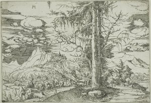 Krajina s dvojitým smrkem od Albrecht Altdorfer