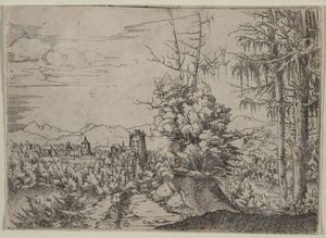 Krajina se dvěma borovicemi od Albrecht Altdorfer