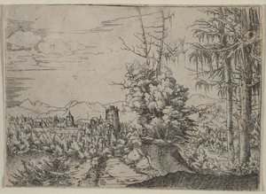 Krajina se dvěma borovicemi, 1522-1525. od Albrecht Altdorfer
