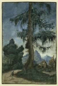 Krajina se smrkem, cca 1522. od Albrecht Altdorfer