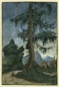 Krajina se smrkem od Albrecht Altdorfer