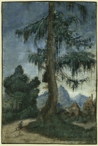 Krajina se smrkem od Albrecht Altdorfer
