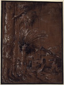 Krajina s vodním mlýnem od Albrecht Altdorfer