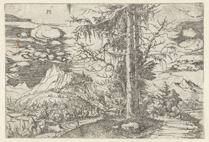Krajina s dvojitou jedlí od Albrecht Altdorfer