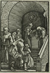 Představení Panny, z Pádu a vykoupení člověka od Albrecht Altdorfer