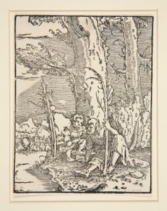 Dítě Ježíš se svatým Kryštofem, ze série Pád a Vykoupení člověka od Albrecht Altdorfer