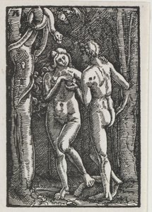 Pád a vykoupení člověka: Adam a Eva jedli zakázané ovoce, c. 1513. od Albrecht Altdorfer