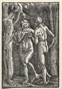 Pád a vykoupení člověka: Adam a Eva jedli zakázané ovoce, c. 1515. od Albrecht Altdorfer