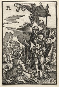 Pád a vykoupení člověka: Kristus se zjevuje sv. Máří Magdaléně, c. 1515. od Albrecht Altdorfer