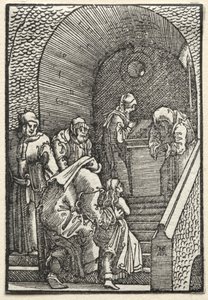 Pád a vykoupení člověka: Uvedení Panny Marie do chrámu od Albrecht Altdorfer