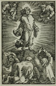 Proměna, z Pádu a vykoupení člověka od Albrecht Altdorfer
