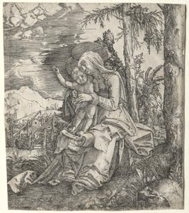 Panna v krajině od Albrecht Altdorfer