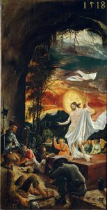 Vzkříšení Krista Drží křížovou hůl, na jejímž konci vlaje bílá vlajka (standard). Obraz Albrechta Altdorfera (asi 1480-1538) 1518 Rozm. 70x37 cm Vídeňské Kunsthistorisches Museum od Albrecht Altdorfer