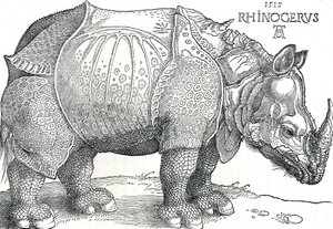 A Rhinoceros, 1515, 1906 od Albrecht Dürer
