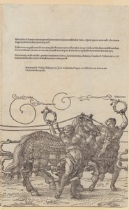  od Albrecht Dürer