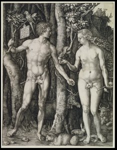  od Albrecht Dürer