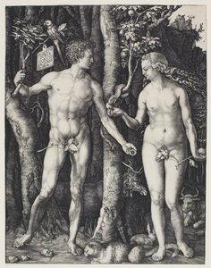 Adam a Eva od Albrecht Dürer