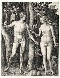 Adam a Eva od Albrecht Dürer
