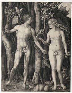 Adam a Eva od Albrecht Dürer