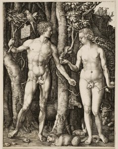 Adam a Eva od Albrecht Dürer