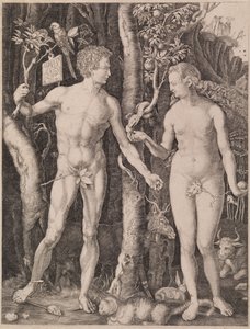 Adam a Eva od Albrecht Dürer