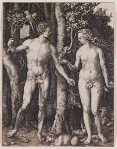  od Albrecht Dürer