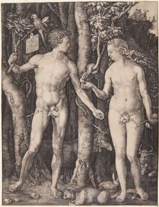  od Albrecht Dürer