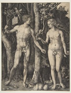  od Albrecht Dürer