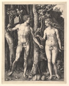  od Albrecht Dürer