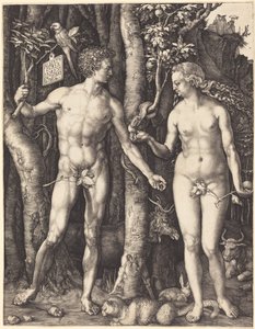  od Albrecht Dürer