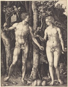  od Albrecht Dürer