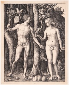  od Albrecht Dürer