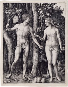  od Albrecht Dürer