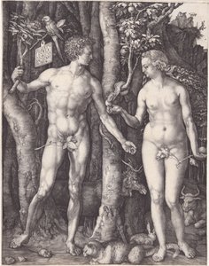  od Albrecht Dürer