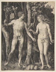 Adam a Eva od Albrecht Dürer