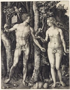 Adam a Eva od Albrecht Dürer