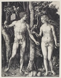 Adam a Eva od Albrecht Dürer