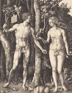 Adam a Eva, 1504. od Albrecht Dürer