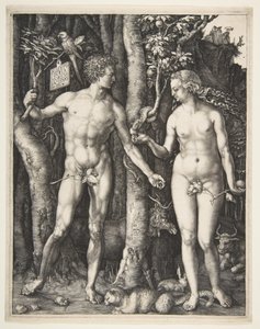 Adam a Eva, 1504 od Albrecht Dürer