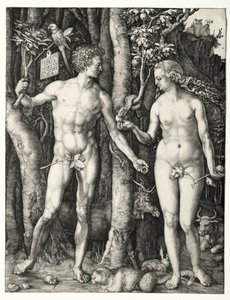 Adam a Eva, 1504. od Albrecht Dürer