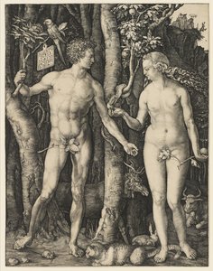 Adam a Eva, 1504 od Albrecht Dürer