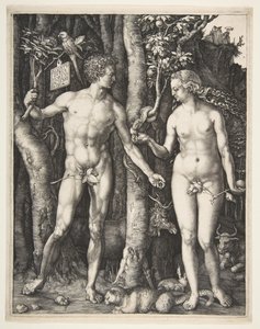 Adam a Eva, 1504. od Albrecht Dürer